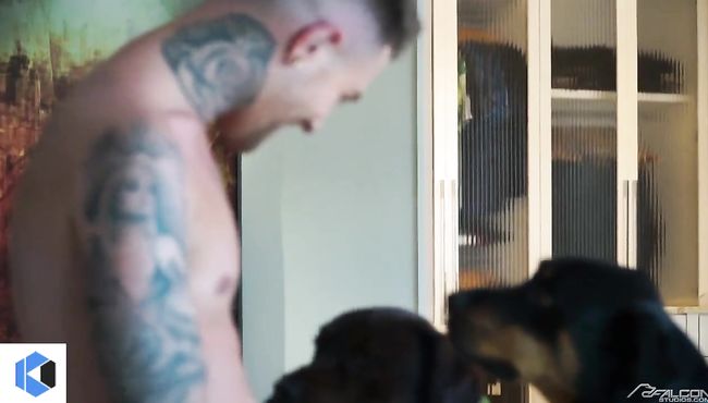 Well-built gays organize awesome party full of cock sucking